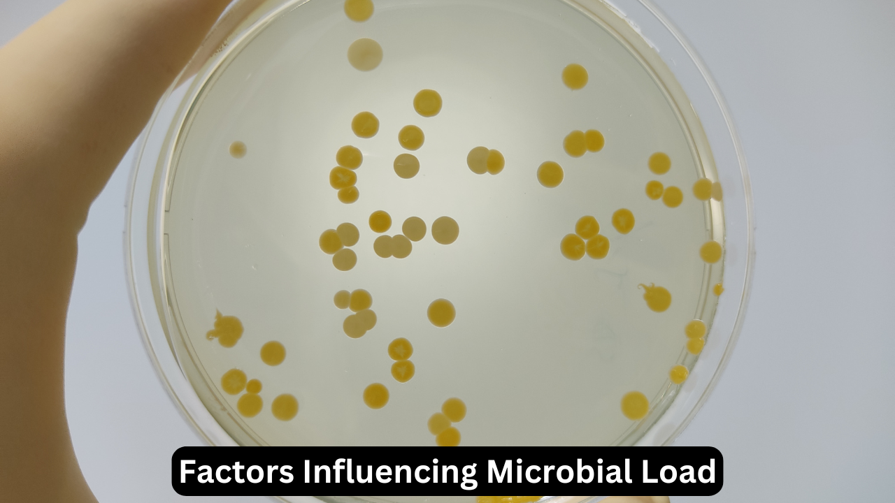 Factors Influencing Microbial Load