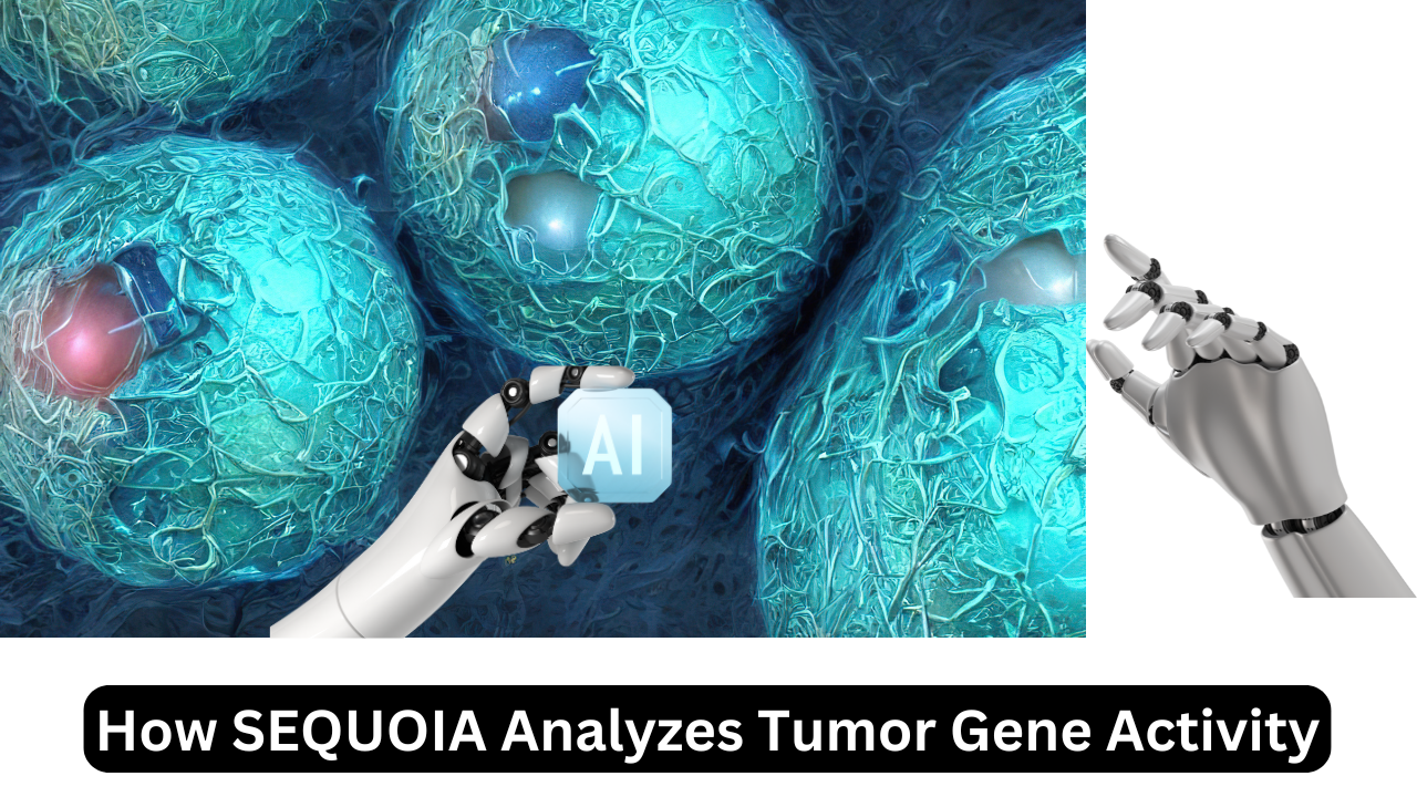 How SEQUOIA Analyzes Tumor Gene Activity