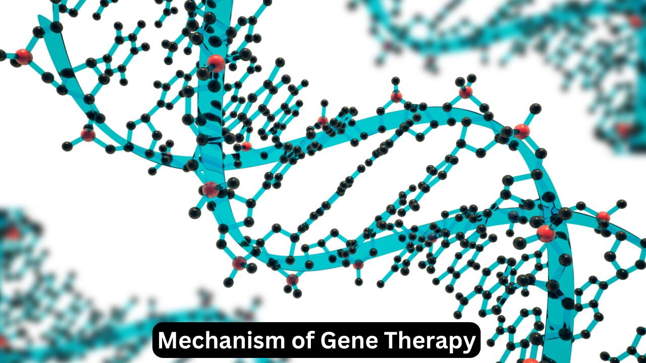 Mechanism of Gene Therapy